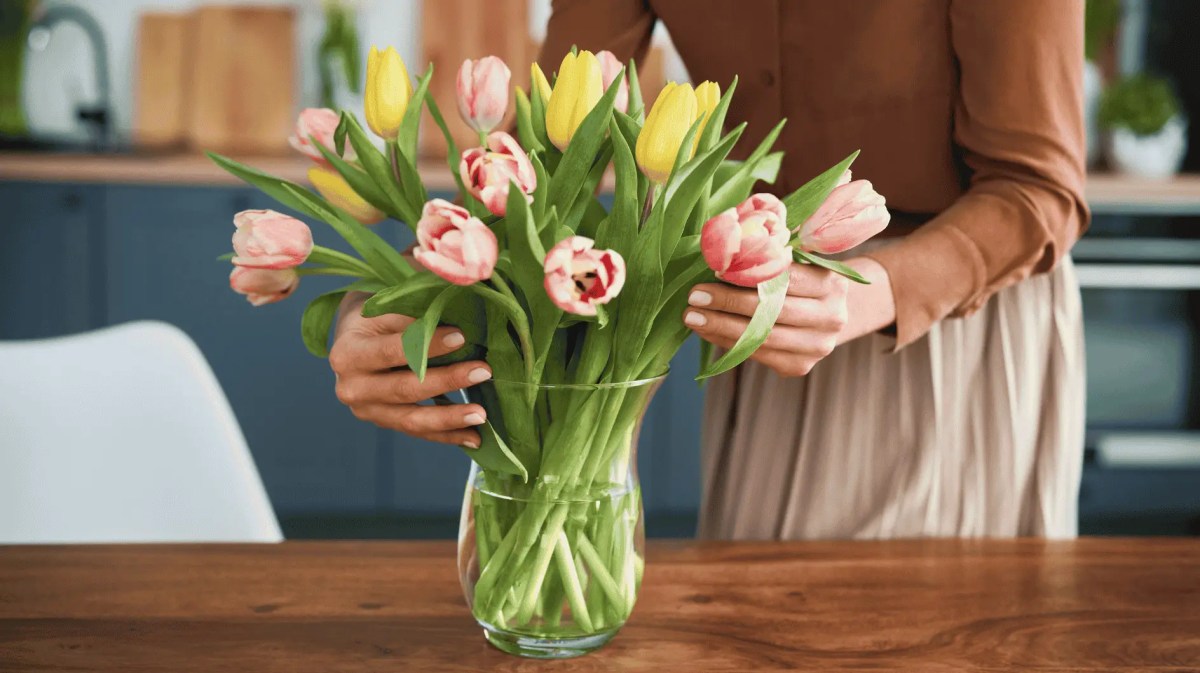 Frau ordnet Tulpen in Glasvase an.