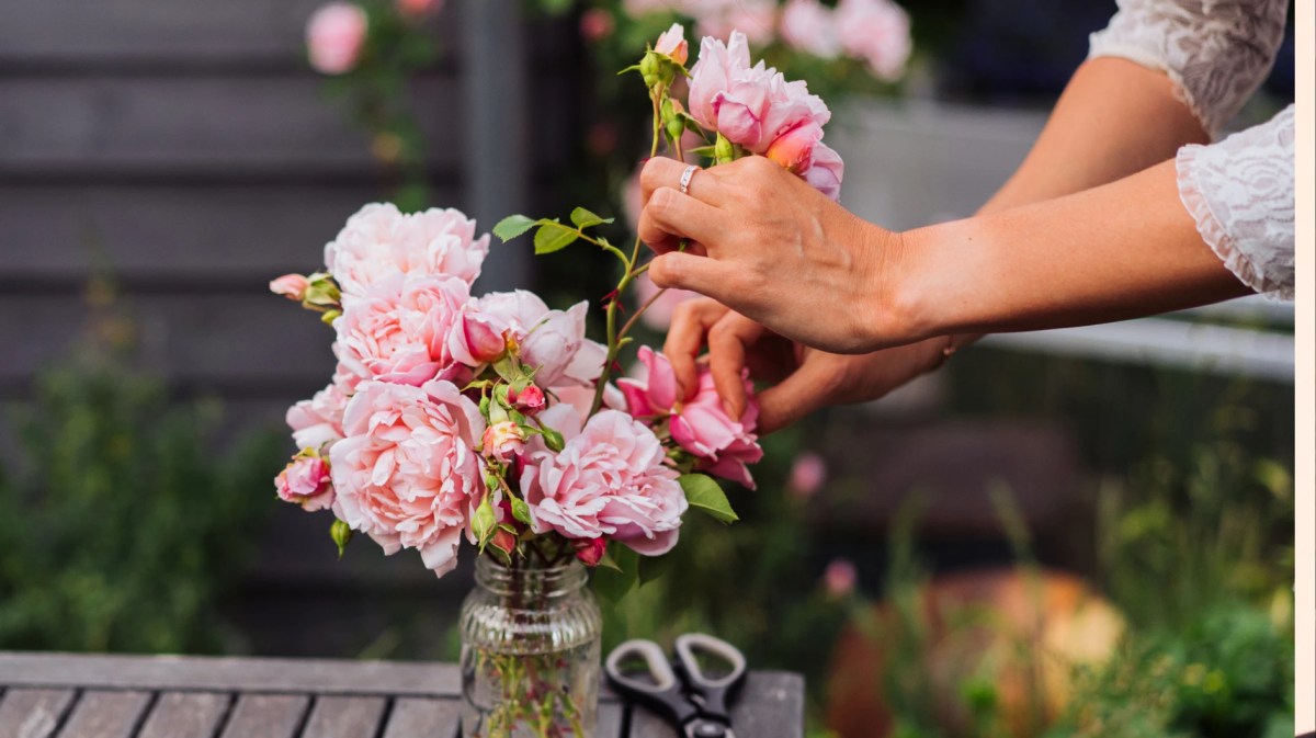 eine Frau steckt Wildrosen in eine Vase im Garten