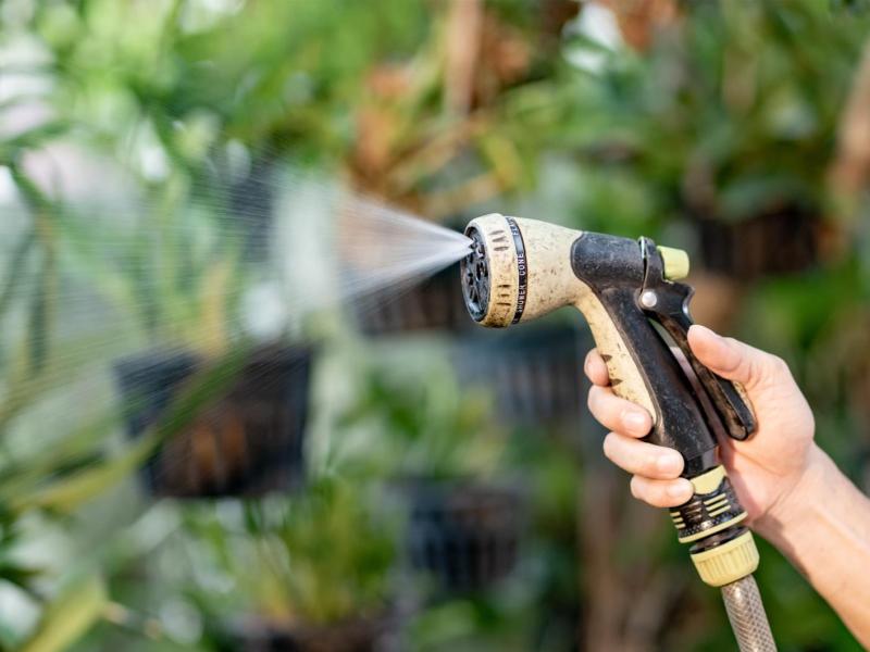 Frau hat einen Gartenschlauch mit D&uuml;se in der Hand, aus der Wasser kommt.