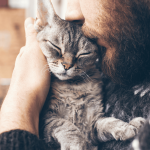 Mann mit Bart kuschelt mit Katze auf seinem Arm.