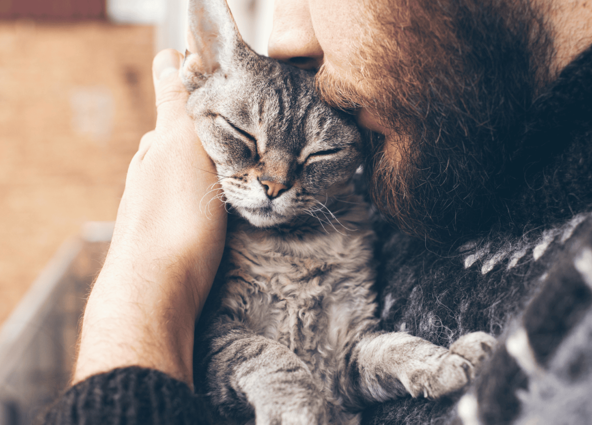 Mann mit Bart kuschelt mit Katze auf seinem Arm.