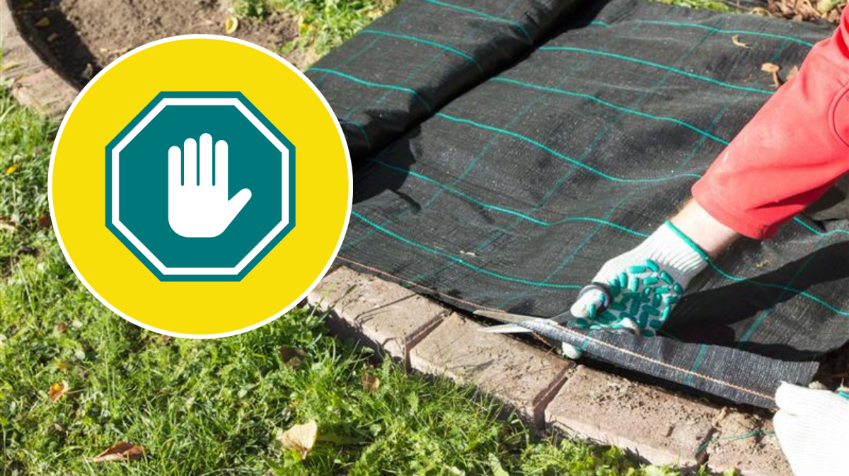 Hand schneidet Unkrautvlies für Staudenbeet.