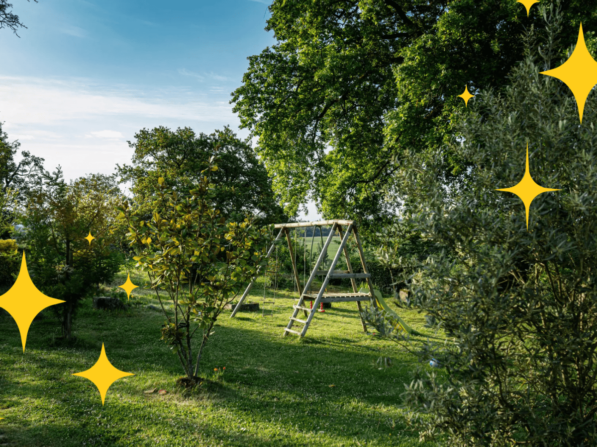 mehrstämmige Steineiche im Garten mit Schaukelgerüst