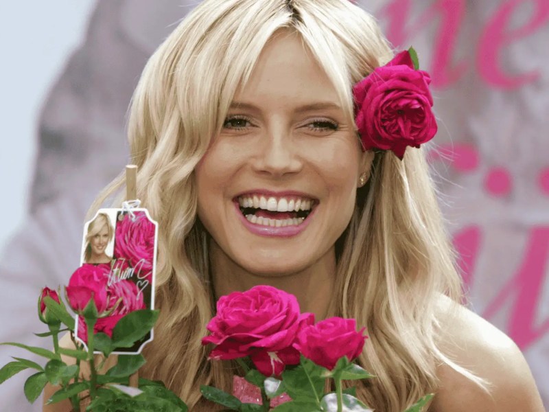 Model Heidi Klum (GER) mit der -Heidi Klum Rose- anlässlich der Werbekampagne -Eine Rose für Heidi- in Dingers Gartencenter in Köln,