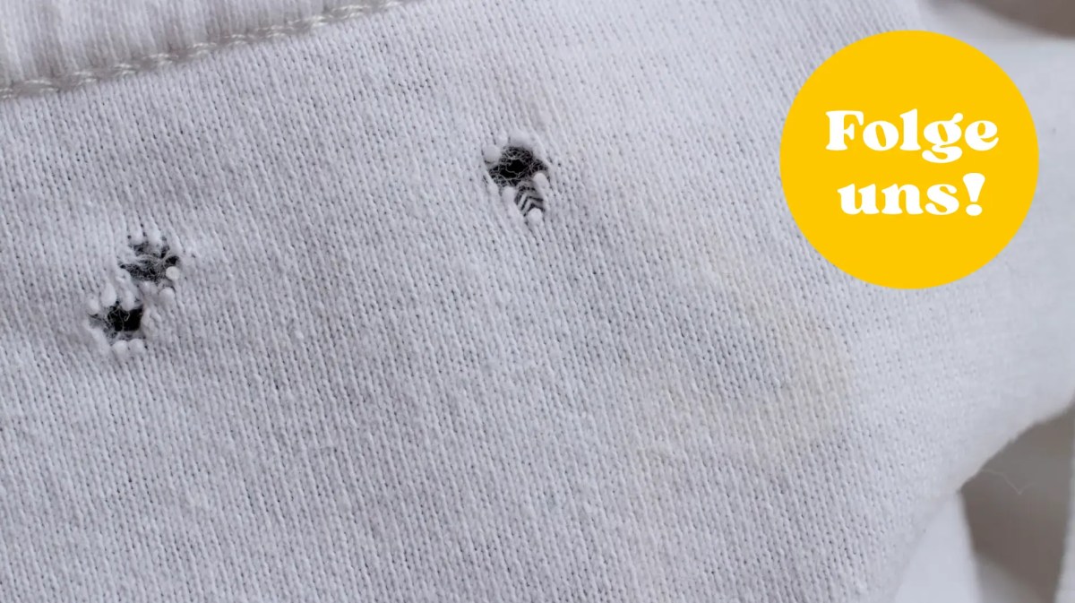 Kleine Löcher in weißem T-Shirt.