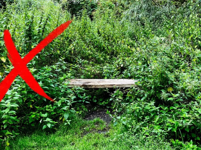 Eine Sitzbank ist umgeben von Brennnesseln in einem Garten. Links vorne im Bild befindet sich ein rotes X.