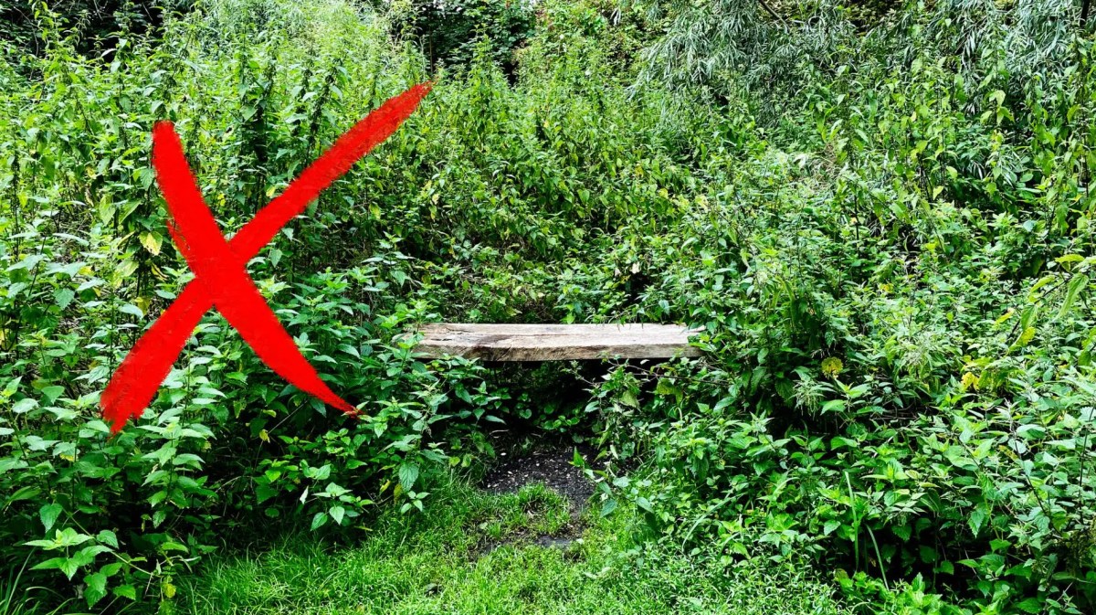 Eine Sitzbank ist umgeben von Brennnesseln in einem Garten. Links vorne im Bild befindet sich ein rotes X.
