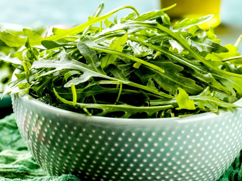 Nahaufnahme von Rucola