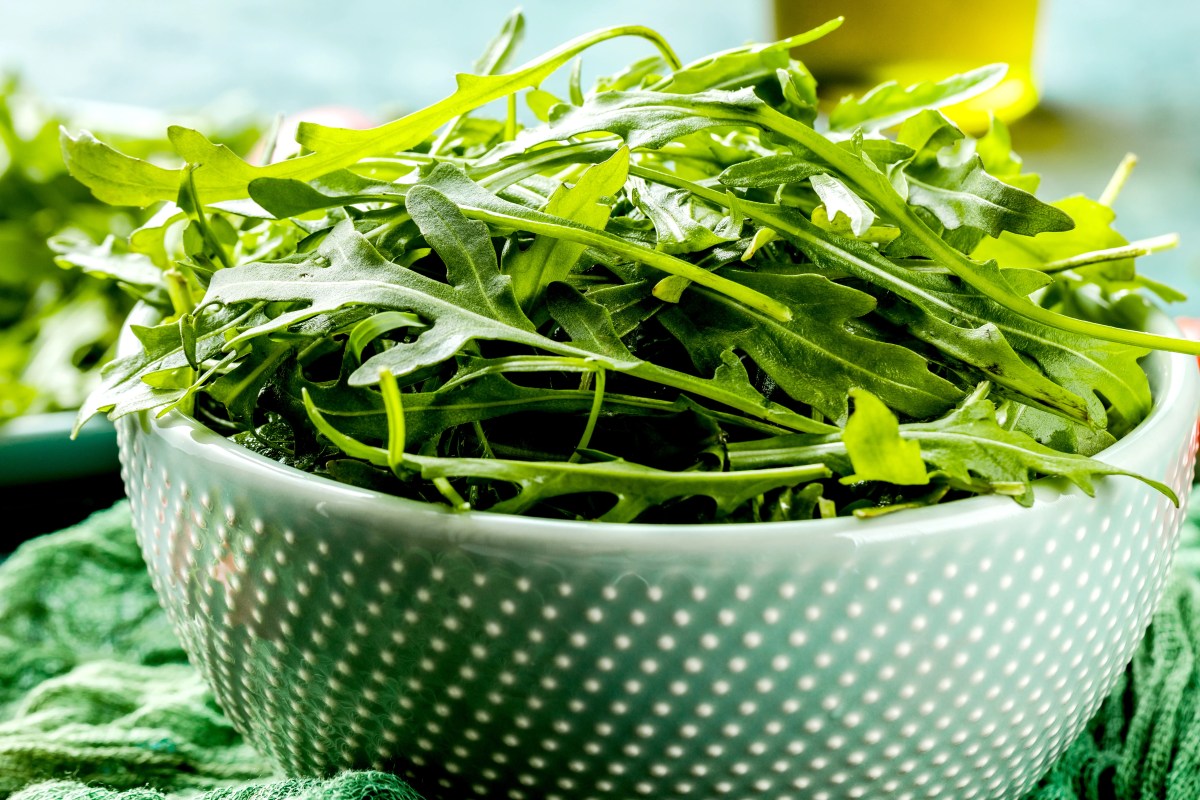 Nahaufnahme von Rucola