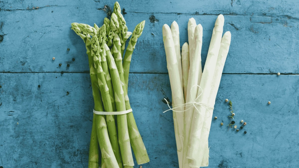 Zwei Bund Spargel grün und weiß
